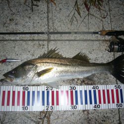 3HIT目にてようやく久々のGET(￣∀￣)